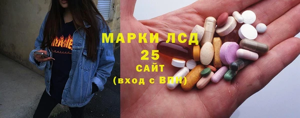 ПСИЛОЦИБИНОВЫЕ ГРИБЫ Вязьма