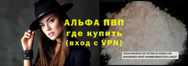 ПСИЛОЦИБИНОВЫЕ ГРИБЫ Вязьма