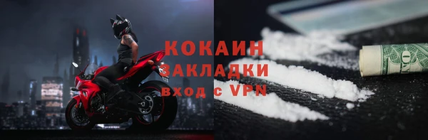ПСИЛОЦИБИНОВЫЕ ГРИБЫ Вязьма