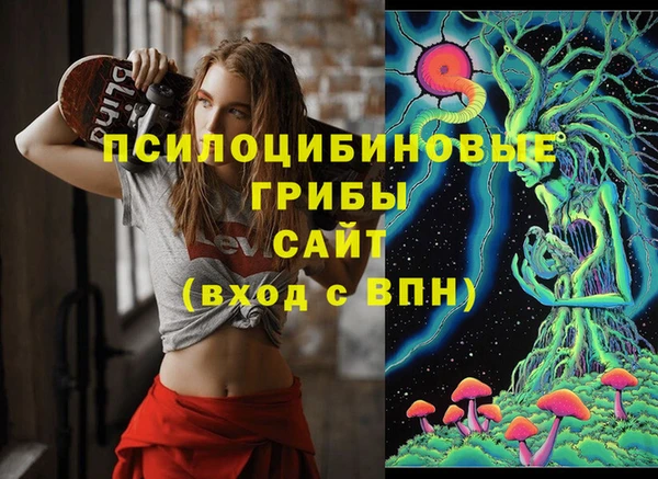 мяу мяу мука Вяземский