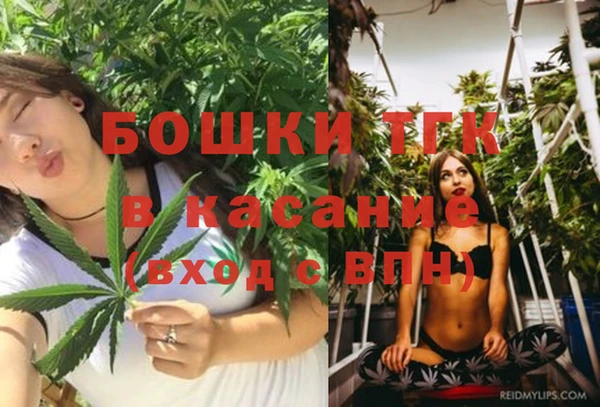 ПСИЛОЦИБИНОВЫЕ ГРИБЫ Вязьма