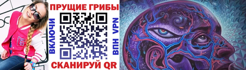 Галлюциногенные грибы Psilocybe  купить наркотик  Мариинск 