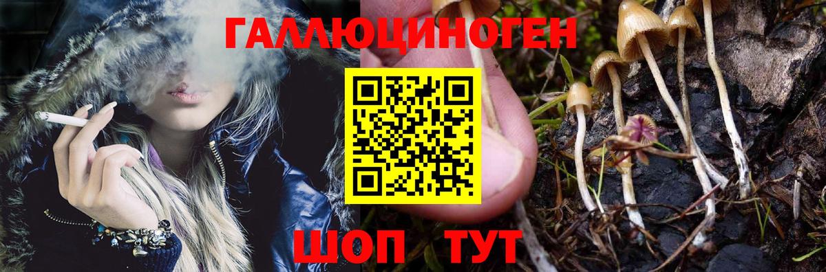 Мариинск  Галлюциногенные грибы мухоморы  Вход с VPN 